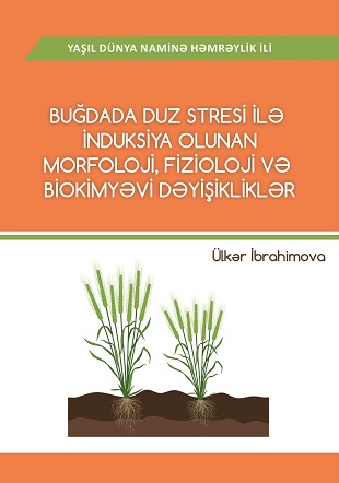 Morphological, biochemical and physiological changes induced by salt stress in wheat