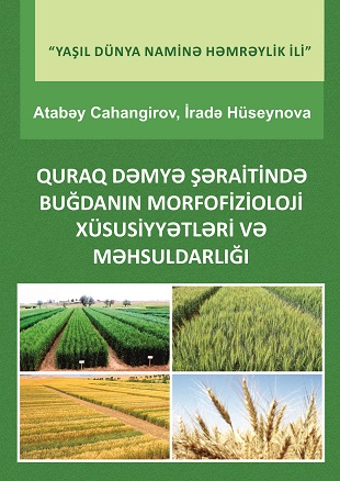 Morphophysiological characteristics and productivity of wheat under dryland conditions